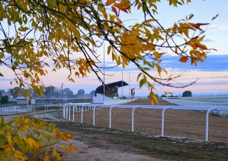 Skelbiama Raseinių hipodromo nuoma