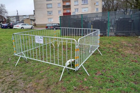 Bus atskirai surenkamos kalėdinės eglutės