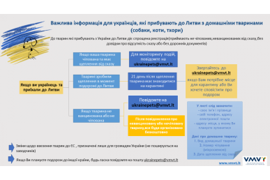 0004_vizualas2_1648200721-fa8e74ea865cb4ea151a99305763f686.png