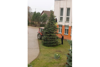 0005_mazais-zingsneliais-ruosiamasi-sventems-vidukleje-2_1733239756-3c71761f1f64442742b6a2e4ae214738.jpeg