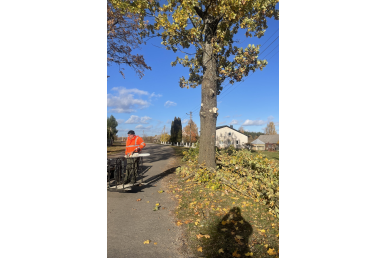 0020_pjaunami-menkaverciai-zeldiniai-pagal-seniunijos-priziurimus-kelius-zaiginio-apylinkese-su-tikslu-gerianti-eismo-sauguma-2_1731072243-3ea8982c9edf2f7e3b093424831187a5.jpg
