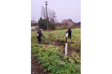 0033_tvarkytos-viesosios-erdves-betygaloje-ir-berteskiuose-3_1733239782-bb64e118f2373ba64d290dea3175f287.jpg