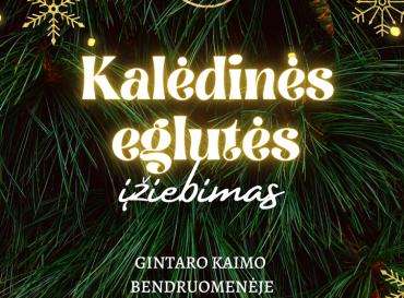 12-13-kaledines-eglutes-iziebimas-sarkiuose_1764316826-6c6df6b57591491175ef3286a281091f.png