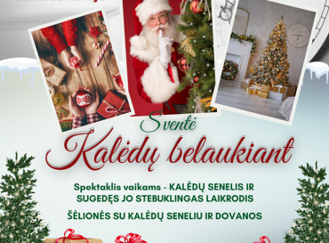 12-13-svente-kaledu-belaukiant_1764836301-0a2828c3a43cbac2492cc74aea7d0c5a.png