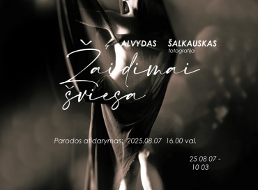 fotoparoda-zaidimai-sviesa_1753441205-d909d733cc818e5246f6fb94b7981aa5.jpg